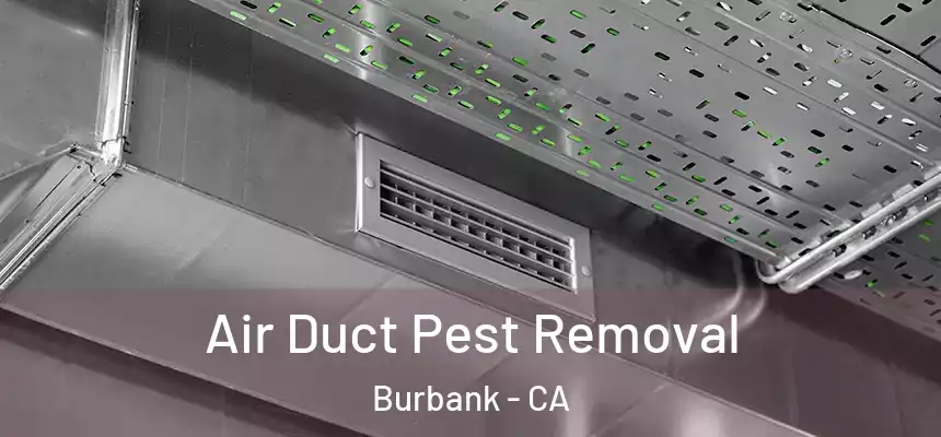 Air Duct Pest Removal Burbank - CA