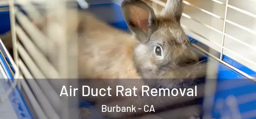 Air Duct Rat Removal Burbank - CA