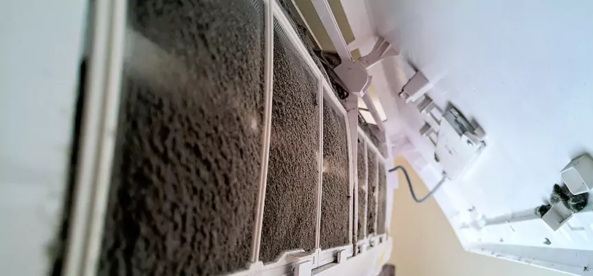 Preventive Air Duct Bacteria Removal in Burbank