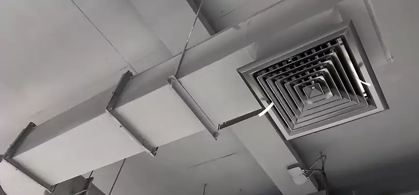 Our Pest Removal From Ducts Services in Burbank, CA