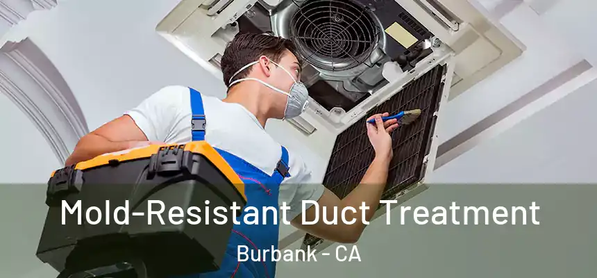  Mold-Resistant Duct Treatment Burbank - CA
