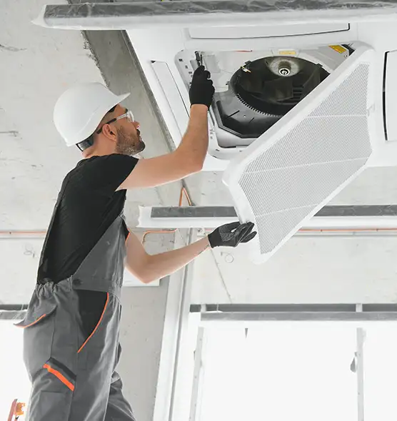 About Air Duct Rodent Removal in Burbank, CA