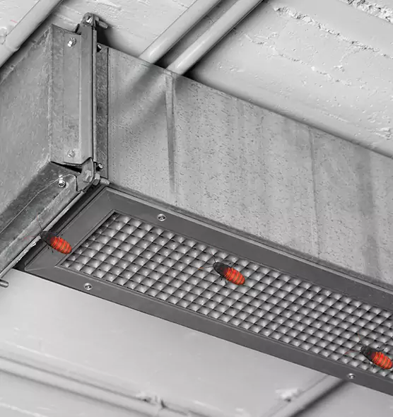 Affordable Insect Removal from Air Ducts in Burbank, CA