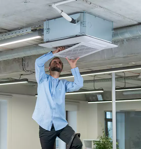 Advanced Rodent Droppings In Vents in Burbank, CA