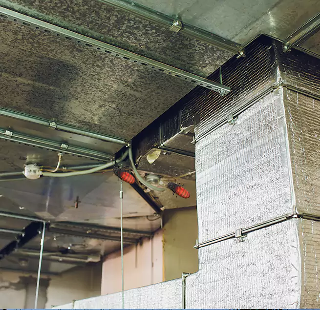 Why Homeowners & Businesses Trust Us in Burbank, CA?