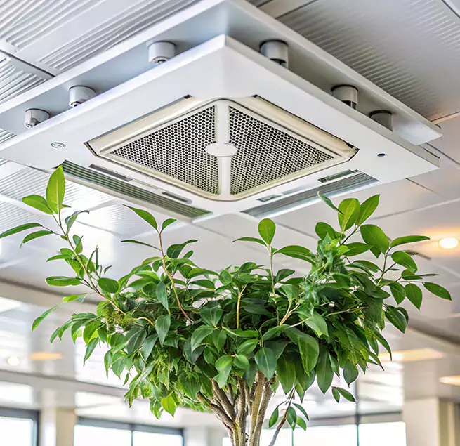 Why Homeowners & Businesses Trust Us in Burbank, CA