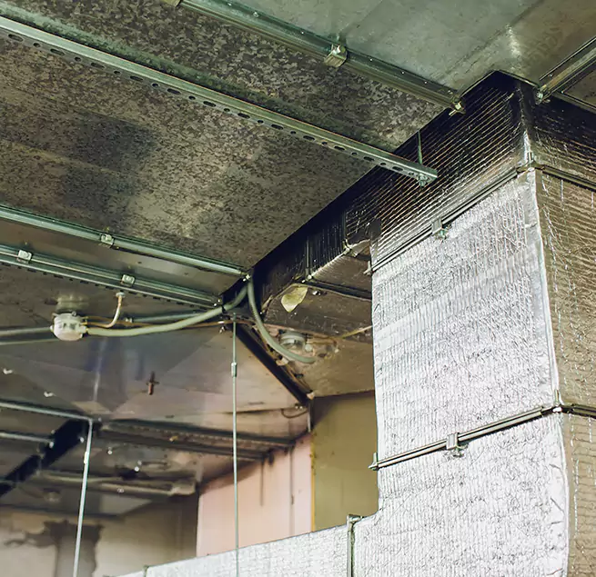 Why Homeowners & Businesses Trust Us in Burbank, CA?